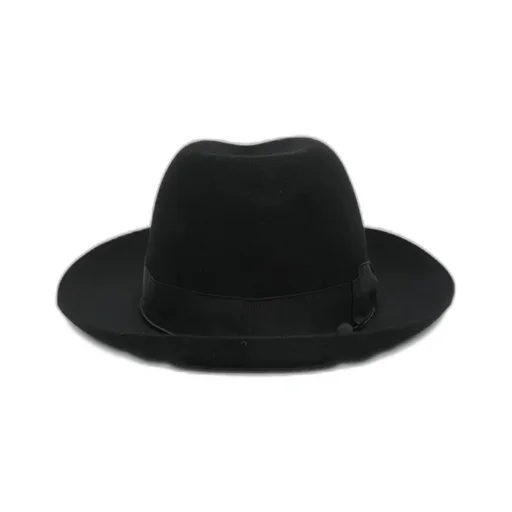 Wide-Brimmed Felt Hat