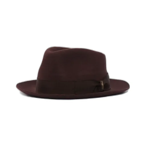 Felted Fedora Hat