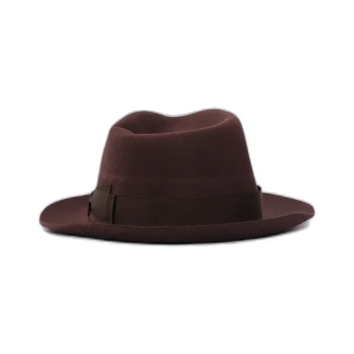 Felted Fedora Hat
