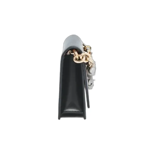 Alexander Mcqueen Skull Embellished Chained Clutch Bag