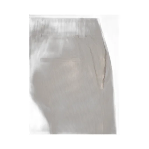 Peserico Stripe Velvet Pants