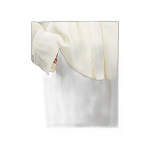 Victoria Beckham Wide-Leg Pleated Pants