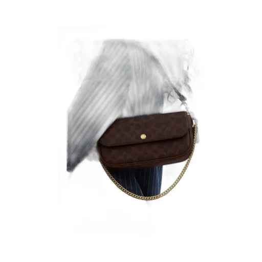 Brook Flap Chain Bag In Signature Canvas
