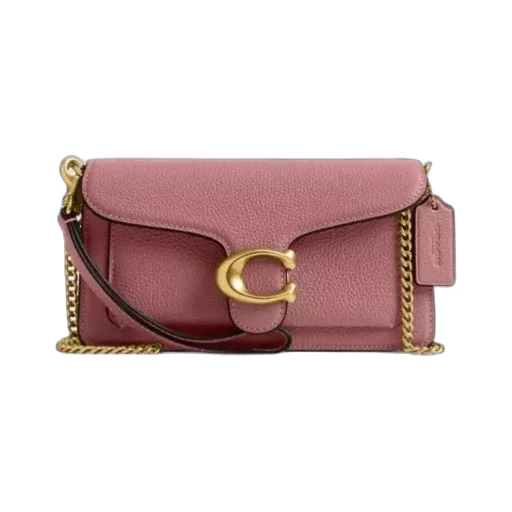 Tabby Chain Crossbody Bag 19
