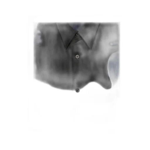Dries Van Noten Printed Short-Sleeved Shirt