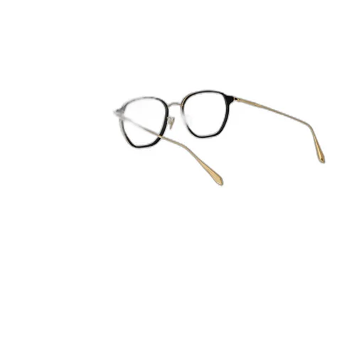 Danilo Angular-Frame Glasses