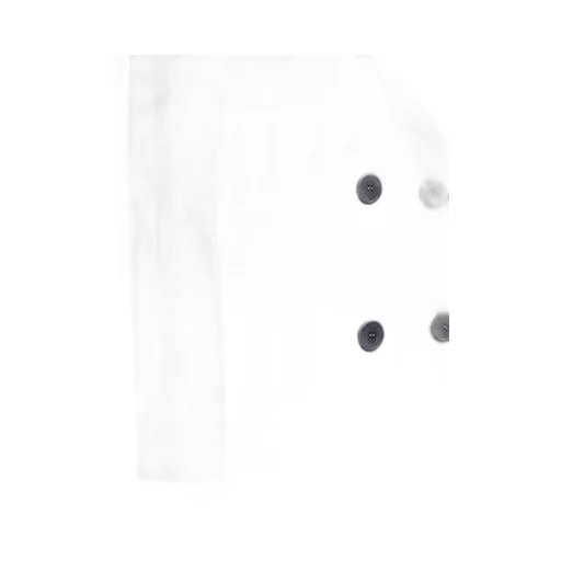 Max Mara Studio Agenda Double-Breasted Long Coat