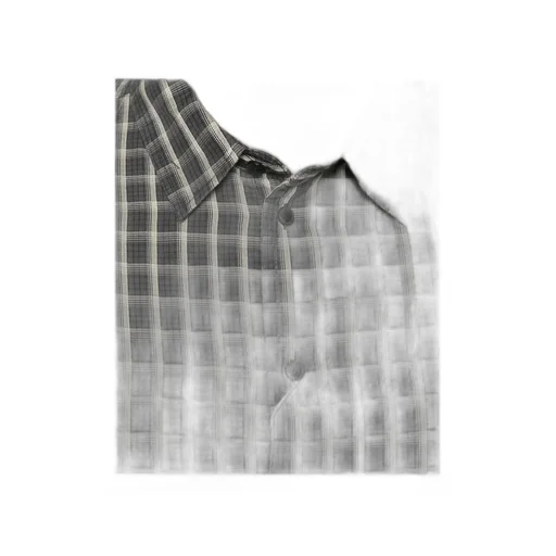 Check Button-Down Shirt
