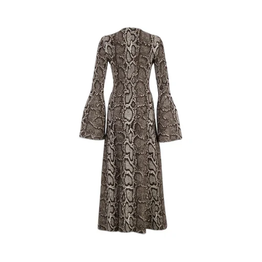 Aalia Dress