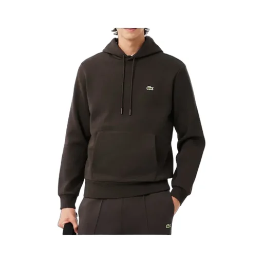 Lacoste Logo Embroidered Drawstring Hoodie