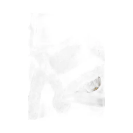 Valentino	Garavani Rockstud Vlogo Signature Small Tote Bag