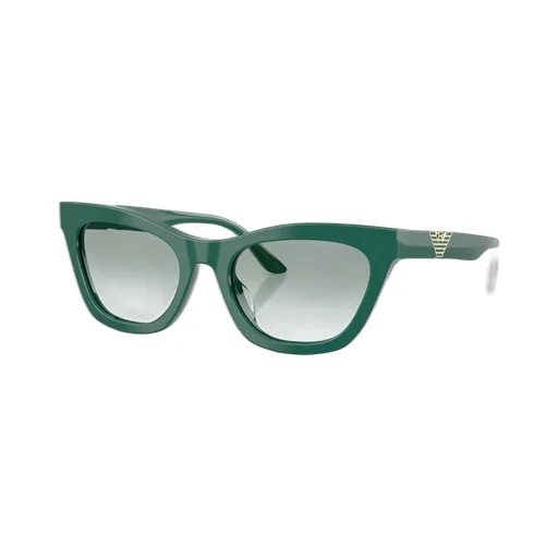 Full Frame Sunglasses