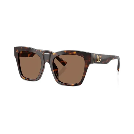 Full Frame Sunglasses