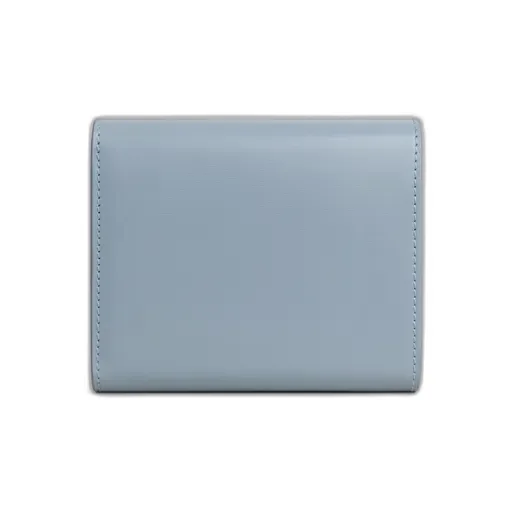 Small Flap Wallet Triomphe In Shiny Calfskin