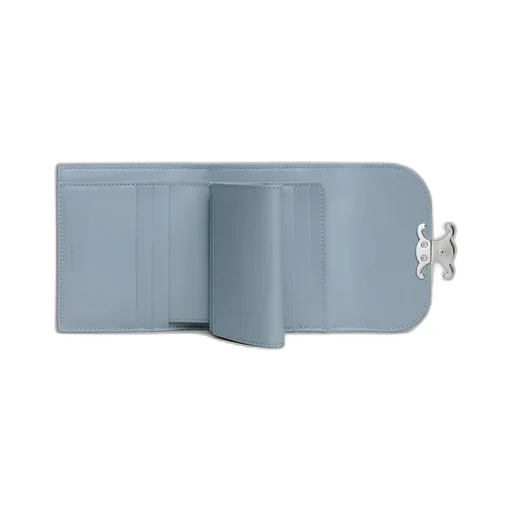 Small Flap Wallet Triomphe In Shiny Calfskin