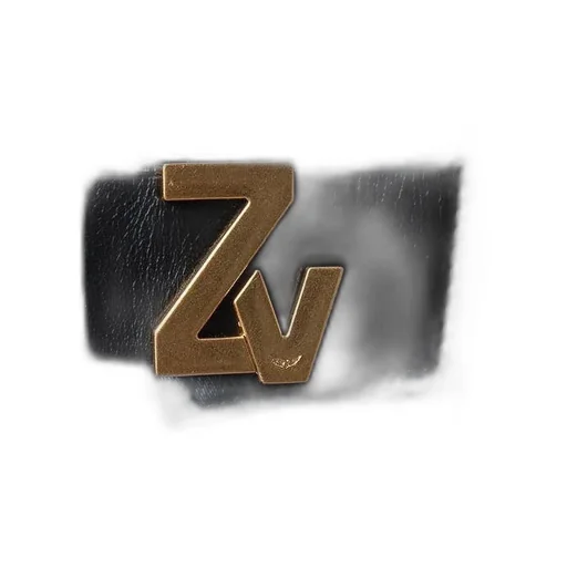 Zadig & Voltaire Logo Plaque Buckle Belt