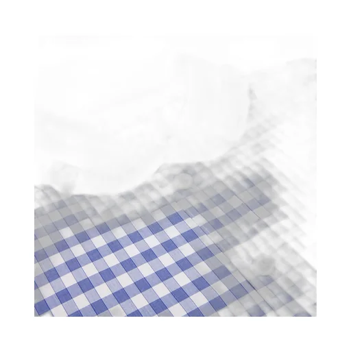 Shirt In Vichy Cotton