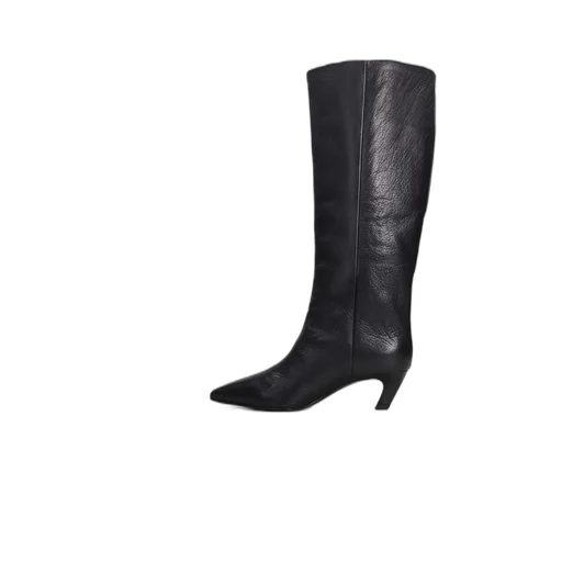 Pointed-Toe Boots