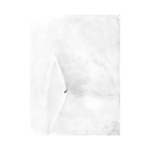 Rabanne Crop Lace Top