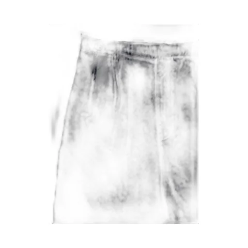 Pleated Cotton Shorts