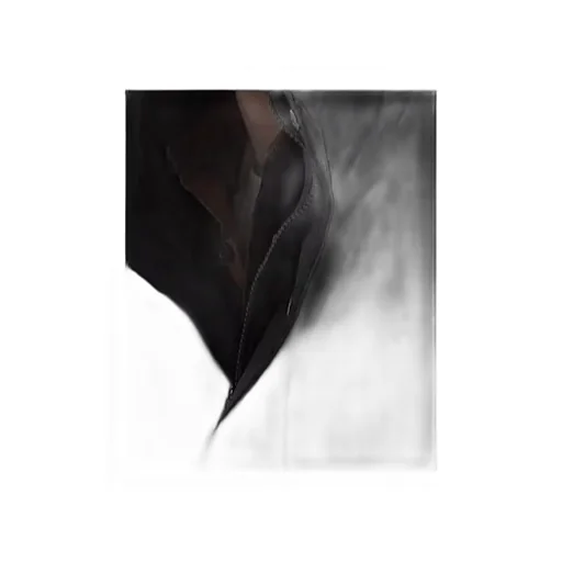 Hooded Coat