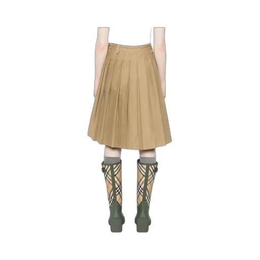 Pleated Skirt