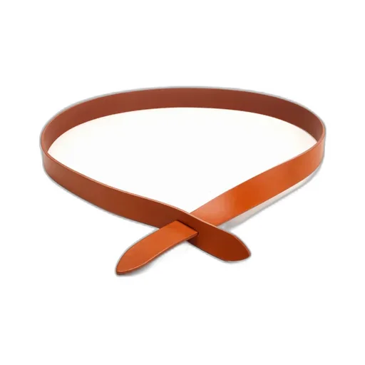 Isabel Marant Leccet Belt