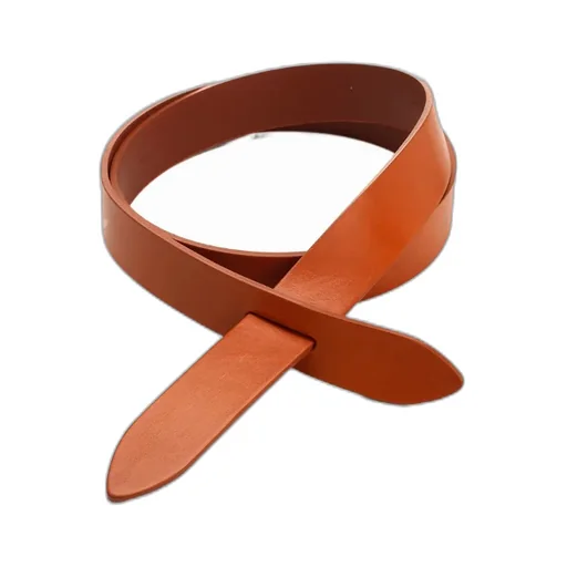 Isabel Marant Leccet Belt