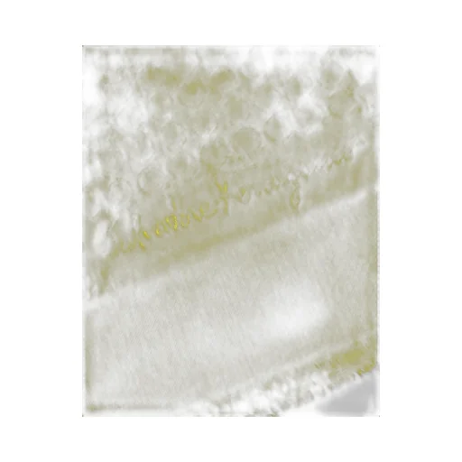 Logo Tassel Scarf