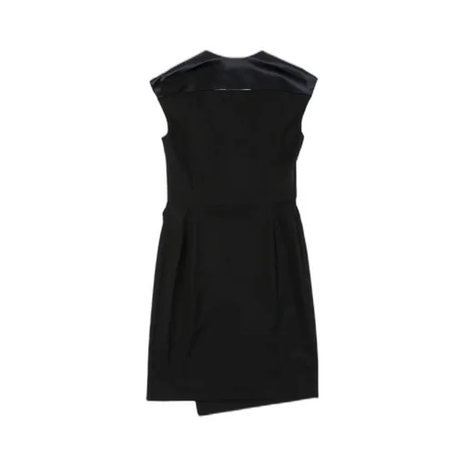 A Sleeveless Pleated Dress