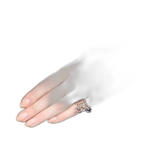 Logo Details Ring
