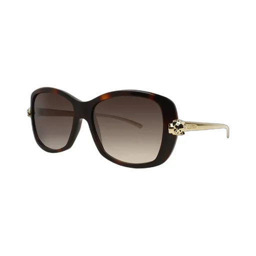 Square Sunglasses