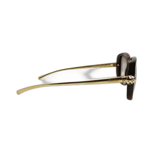 Square Sunglasses