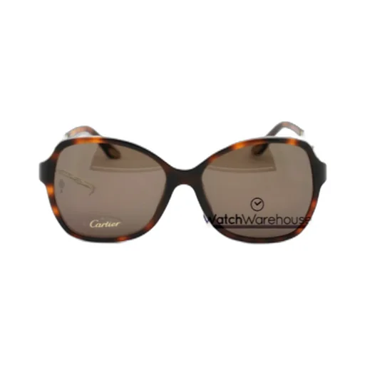 Square Sunglasses