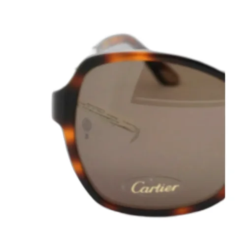 Square Sunglasses