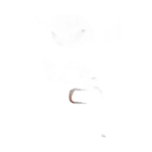 Single Ring Hollow Ring