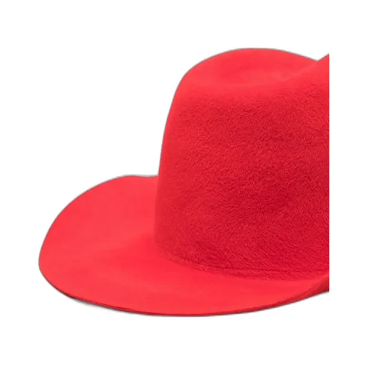 Logo Hat