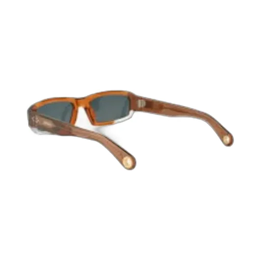 Rounded Frame Sunglasses