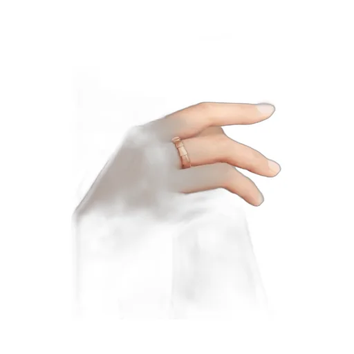 Logo Ring
