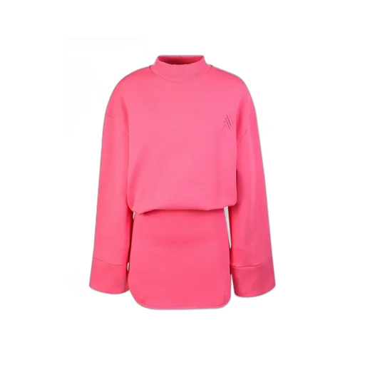 Fitted Sweatshirt Dress