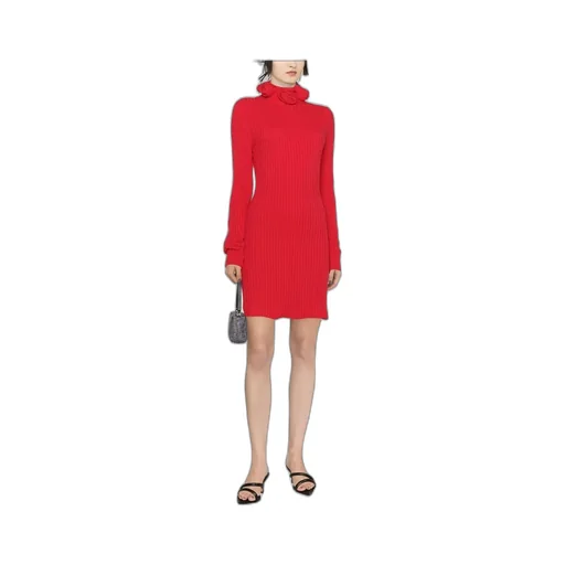 Roll-Neck Wool Mini Dress
