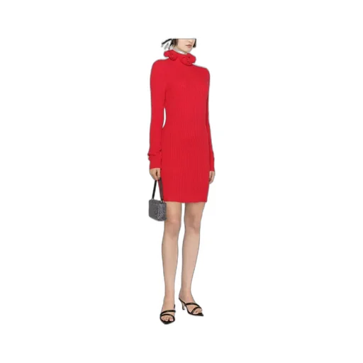 Roll-Neck Wool Mini Dress