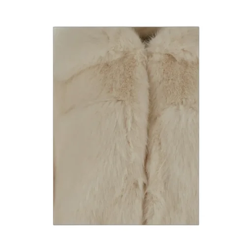 Faux Fur Coat