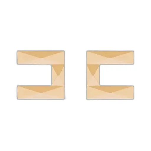 Logo Earrings