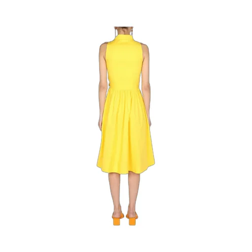 Sleeveless Medium Length Dress