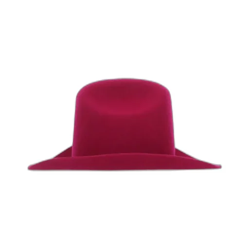 Ruslan Baginskiy Logo Embroidered Wide Brim Cowboy Hat
