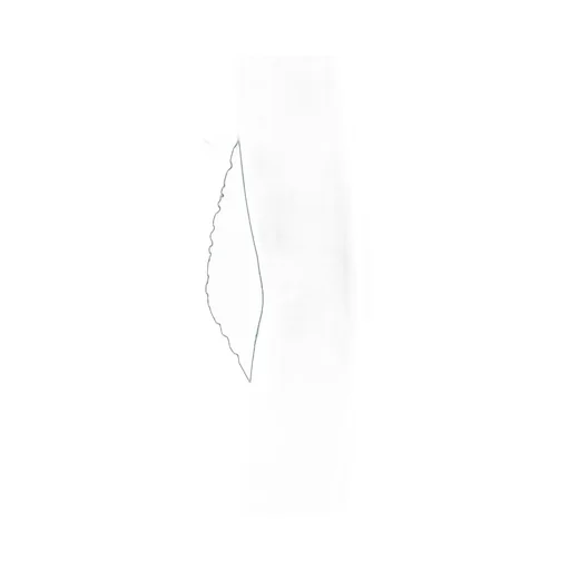 Saint Laurent Draped V-Neck Long-Sleeved Dress