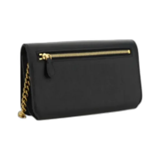 Logo Chain Wallet
