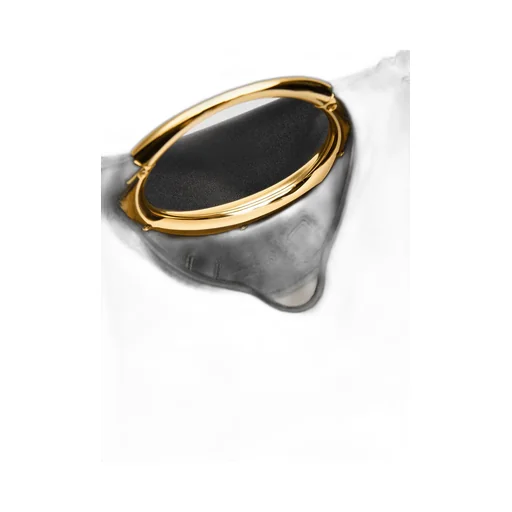 Jacquemus Le Calino Shoulder Bag