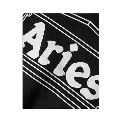 Aries Logo Printed Crewneck Sweatshirt